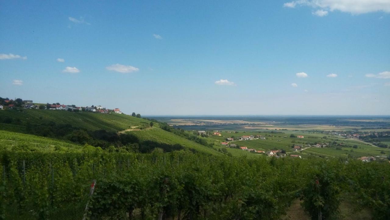 Ferienhaus Szapary II Eisenberg an der Pinka Esterno foto